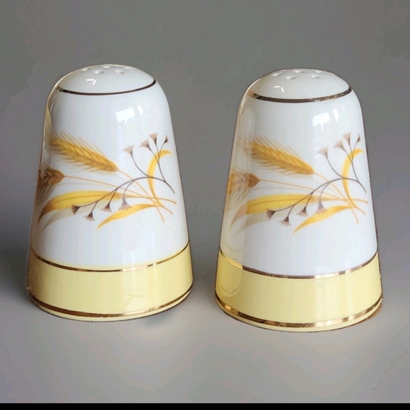 Century Service Corp Other - Vintage Autumn Gold Salt & Pepper Shakers Century Service Corp EUC
